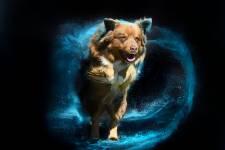 Nathalie AMALLA - STUDIO CHRYSALIN'S