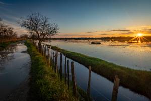 JOSÉ MANUEL PACHECO - JOSE MANUEL PACHECO